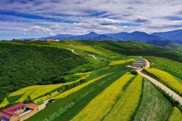 龙头山景区